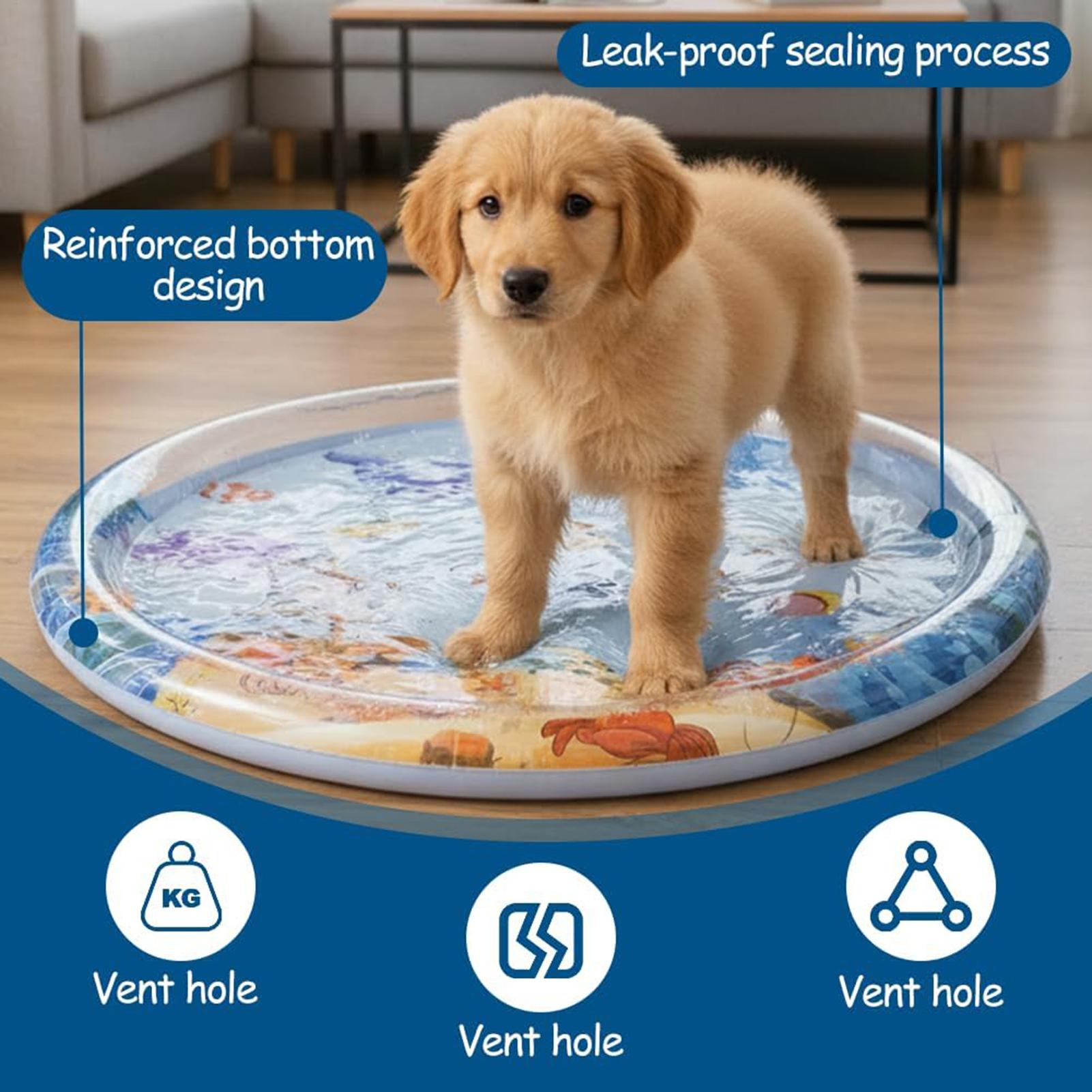 Slip Slide Water Mat - Interaktive Verdickte Katzenspielmatte Wasserbett Sensorisches Haustierzubehör