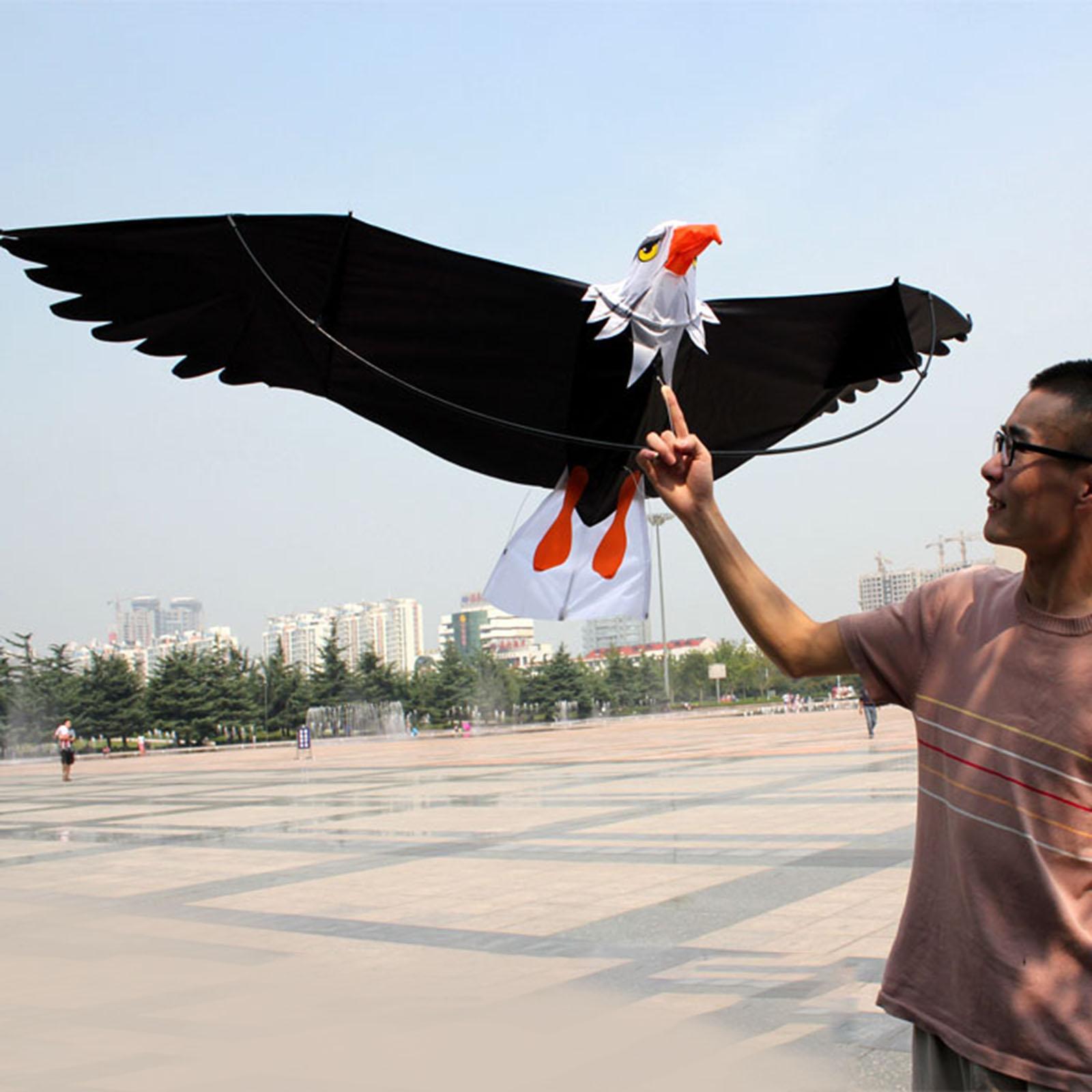 Kite Easy Fly Kids - Adler-Lenkdrachen für Kinder und Erwachsene, Einfach