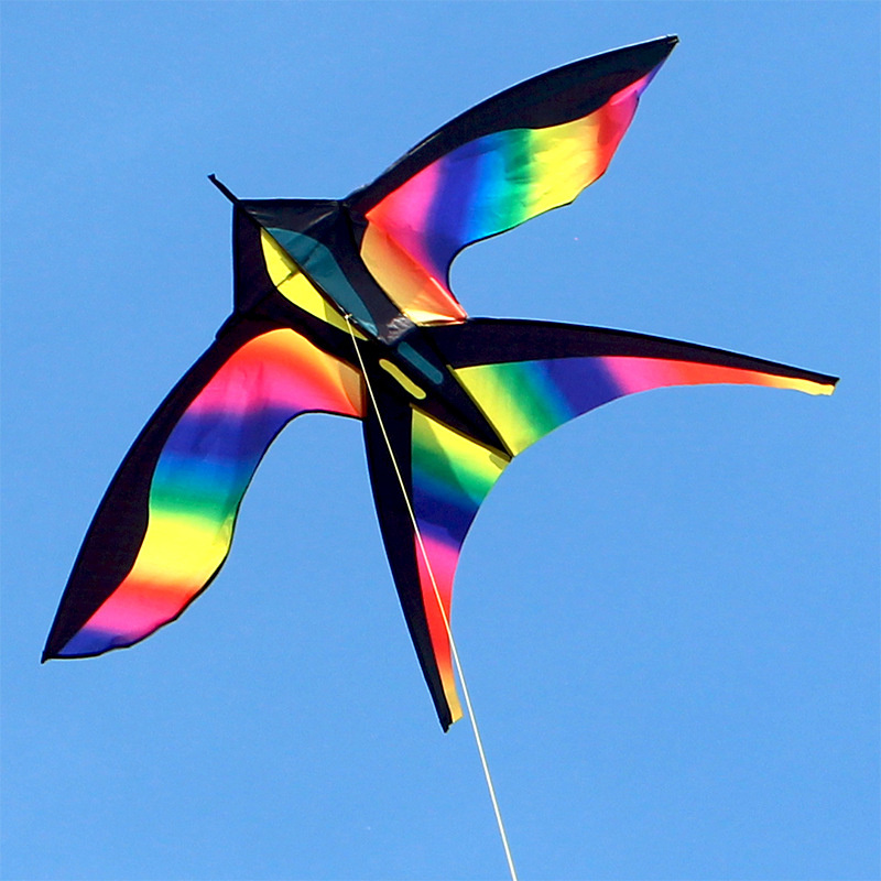 Kite Easy Fly Kids - 1,7 m einfach zu fliegen bunte