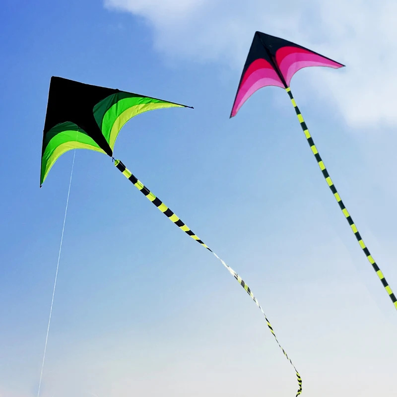 Erwachsene, einfach zu fliegen – Kite Easy Fly Kids Bewertung und Preis