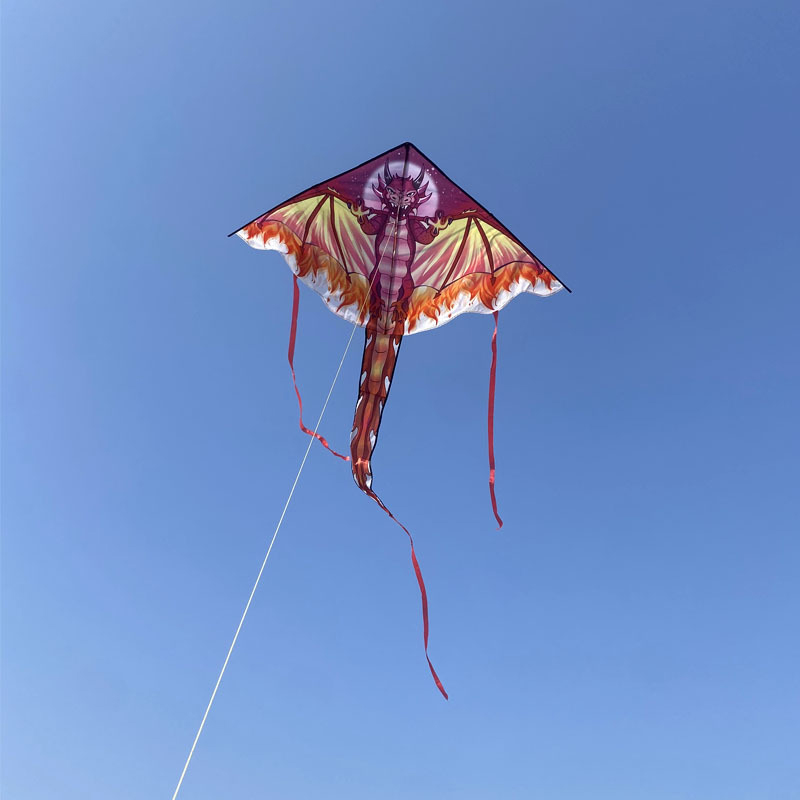 Großer Drachendrachen für Kind – Kite Easy Fly Kids Bewertung und Preis