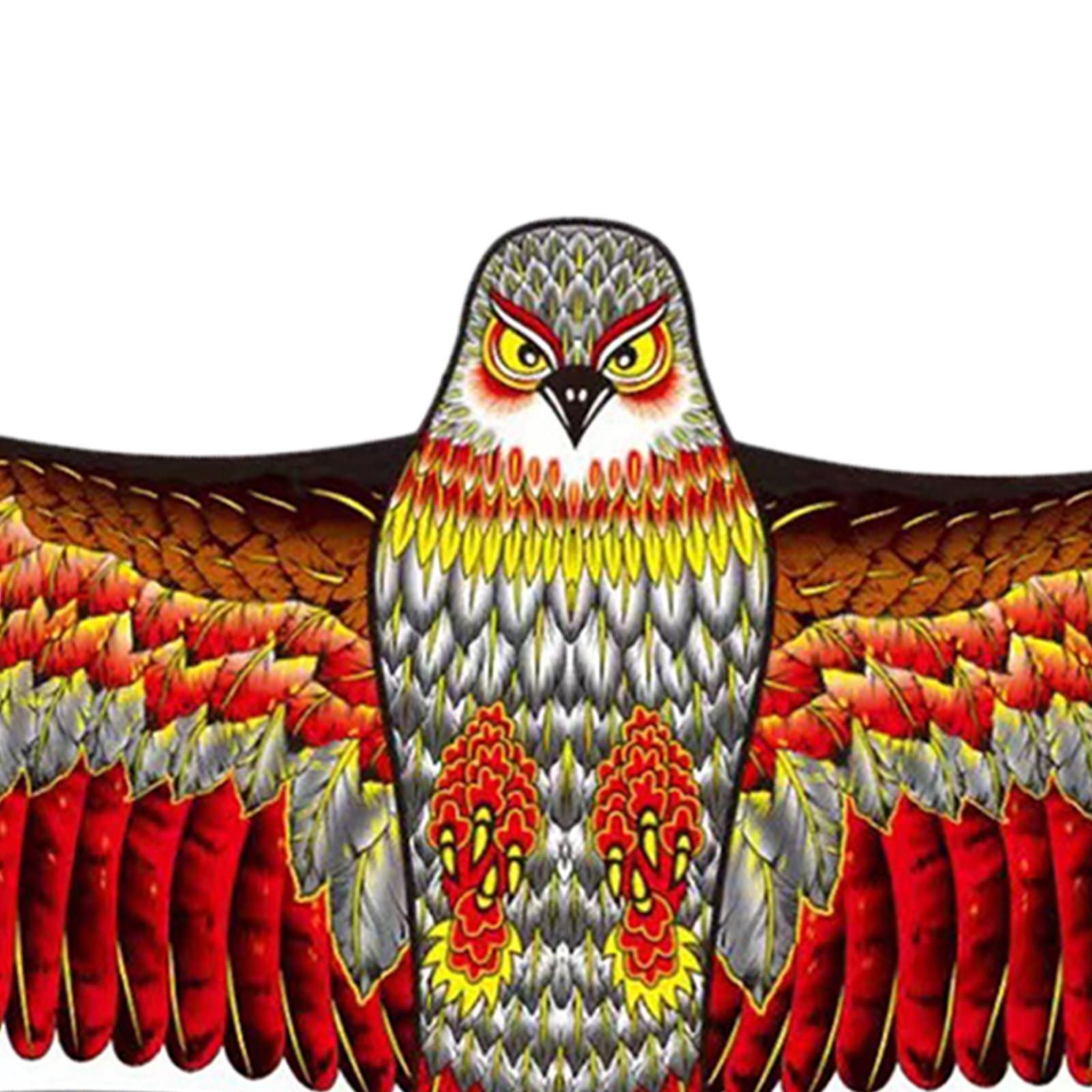 63 Zoll große Adlerdrachen, ei – Kite Easy Fly Kids Bewertung und Preis