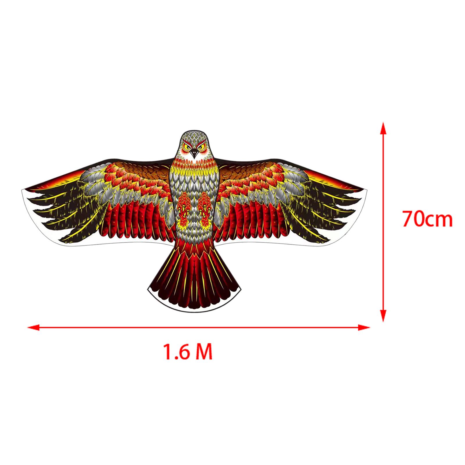 63 Zoll große Adlerdrachen, ei – Kite Easy Fly Kids Bewertung und Preis