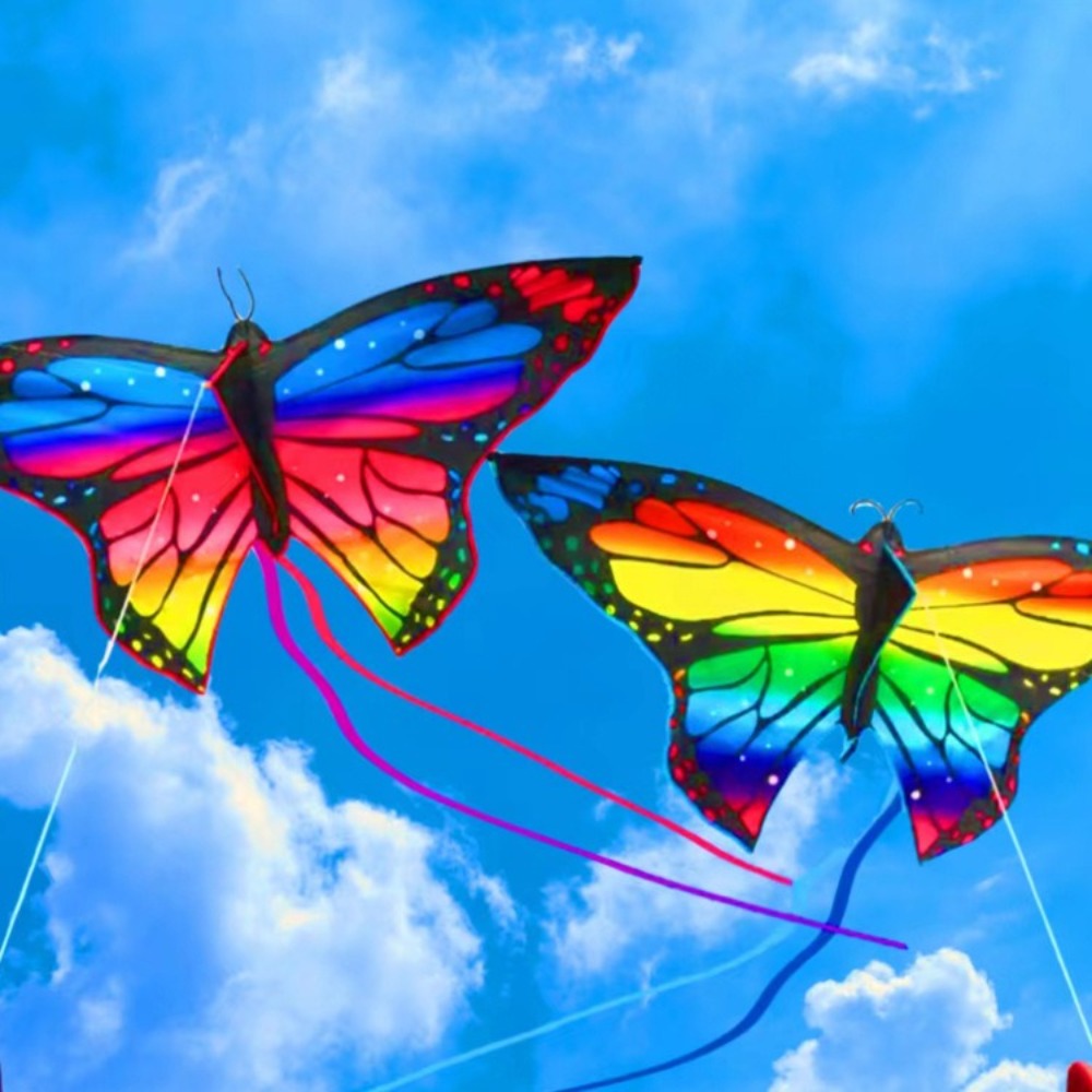Leicht zu fliegender bunter Sc – Kite Easy Fly Kids Bewertung und Preis