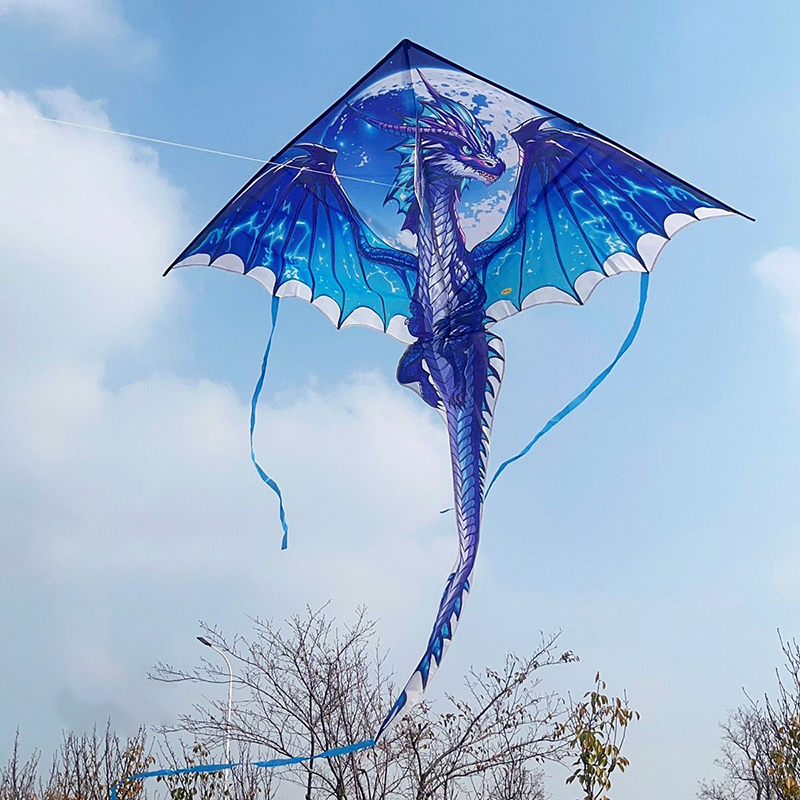 Großer Drachendrachen für Kind – Kite Easy Fly Kids Bewertung und Preis