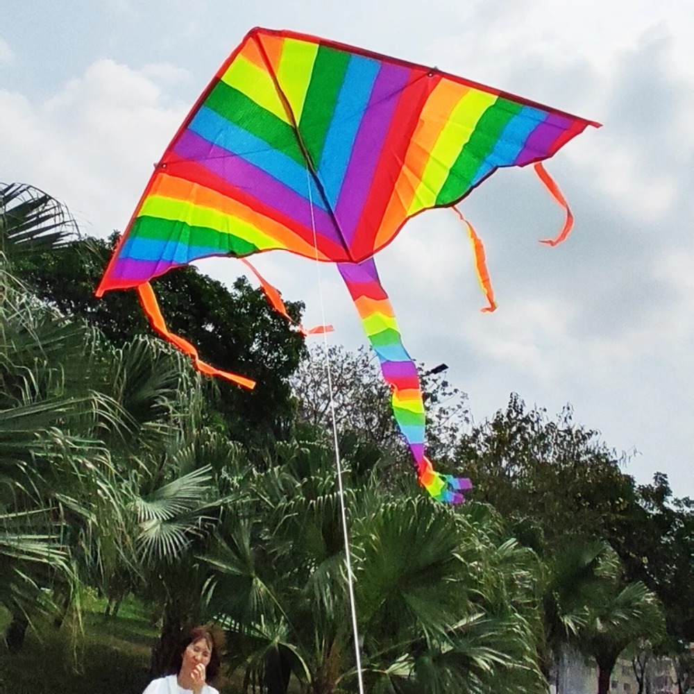 Neues Design, Regenbogen-Drach – Kite Easy Fly Kids Bewertung und Preis