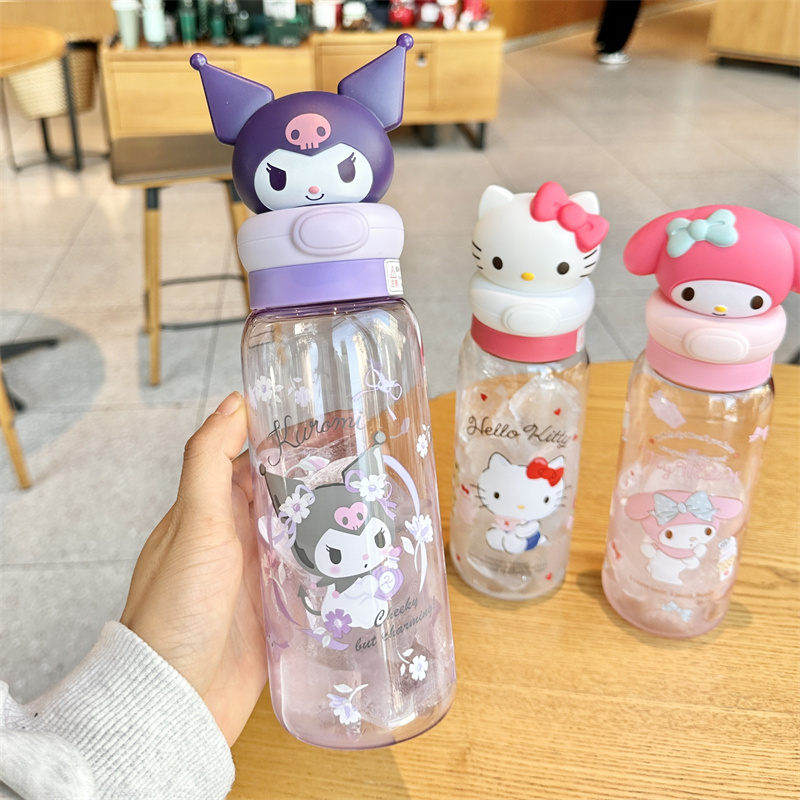 X&W Kawaii Sanrio Puppen-Trink – Outdoor Kid Friendly Bewertung und Preis