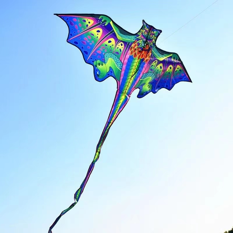 3D-Drachen-Drachen für Kinder, – Kite Easy Fly Kids Bewertung und Preis