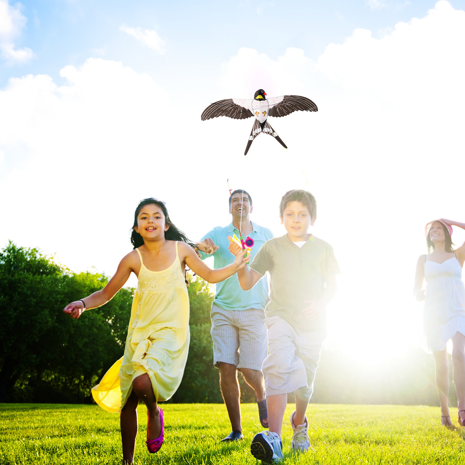 Leicht zu fliegender Vogel-Len – Kite Easy Fly Kids Bewertung und Preis