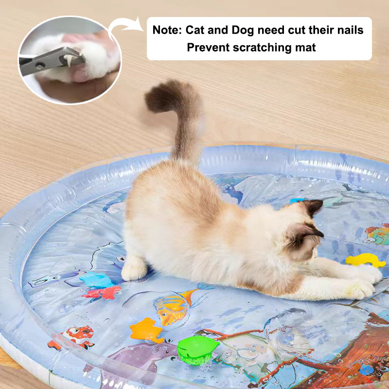 Wasser sensorische Spielmatte  – Slip Slide Water Mat Bewertung und Preis