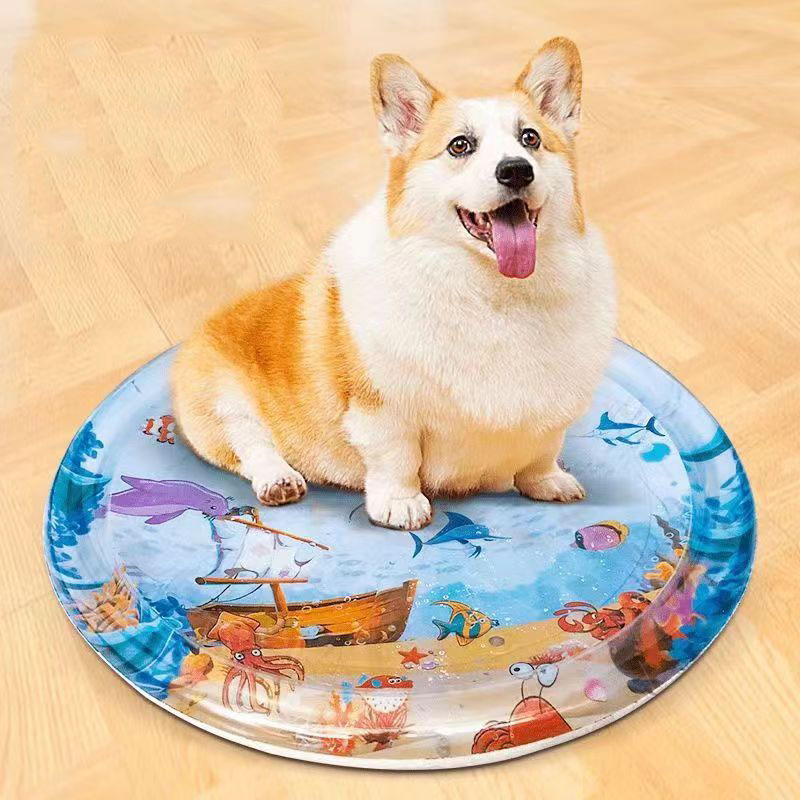 Wasser sensorische Spielmatte  – Slip Slide Water Mat Bewertung und Preis